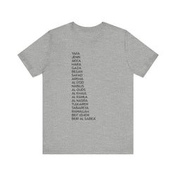 English Palestinian Cities T-Shirt - Adult